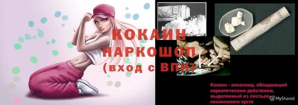стафф Сосновоборск