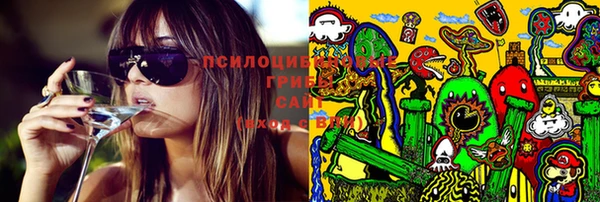 стафф Сосновоборск