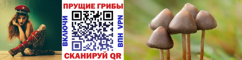 мориарти клад  мега рабочий сайт  Чудово  Псилоцибиновые грибы GOLDEN TEACHER 